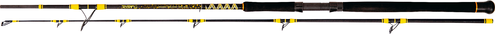 Black Cat Passion Pro DX Boat Spin, 2,40m WG 50-190g